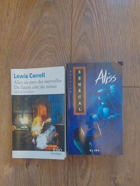 Aliss Senecal Et Alice Au Pays Des Merveilles Livres